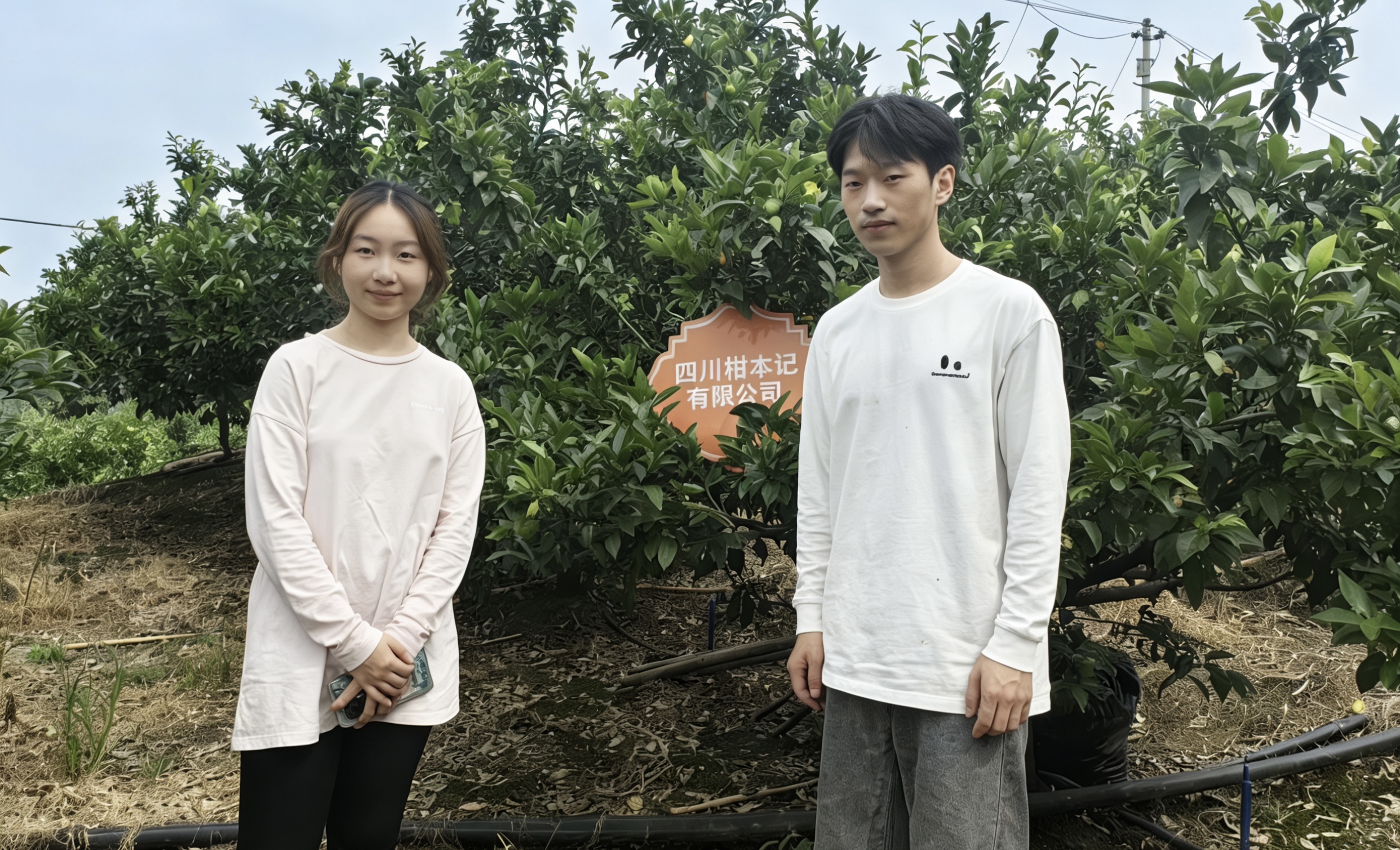 深入一線摸實情 青年調(diào)研助發(fā)展——“柑本記”團(tuán)隊赴仁壽開展晚熟柑橘產(chǎn)業(yè)調(diào)研